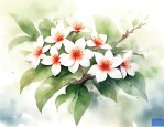 桐树花能吃吗