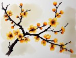 2025年腊梅花有哪些特点