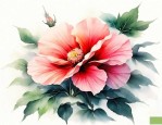 北京哪有芙蓉花