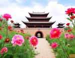 中国古羌城的花儿纳吉
