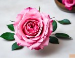 玫瑰花怎么泡水喝正确