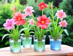 夏天能水培什么花好养