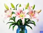 百合怎么插花瓶怎么养