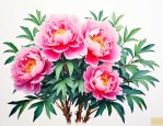牡丹花的家庭养殖方法