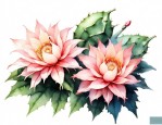 昙花和仙人球花的区别