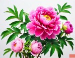 河洛神花牡丹香膏作用