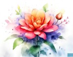 4月12日花语
