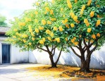 院子里种桂花树好不好