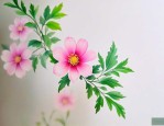 花殖康到底有没有效果