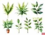 植物的四大分类