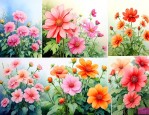 一年四季都会开花的花