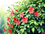 四季常绿的爬藤类植物