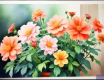 家里养什么花转运招财