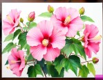 木芙蓉花的寓意和象征