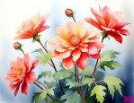 11月24日的诞生花