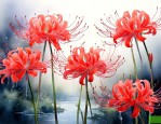 彼岸花的花语是什么呀
