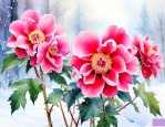 冬季耐寒的花卉有哪些