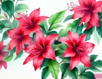 洛神花是起什么作用的