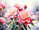 花期在冬季的花有哪些