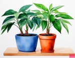 家里盆栽养什么植物好