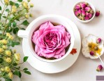 玫瑰花和胎菊泡茶比例