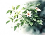 九里香招虫子么