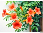 凌霄花适合种在家里吗