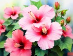 芙蓉花的诗句千古名句