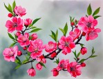 2025年红碧桃花怎么获得