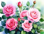 蔷薇花和月季花有什么区别