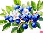 蓝莓开的花是什么样子