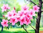 夏天开粉色的花是什么树