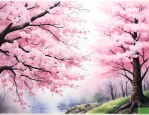 樱花日语1对1多少钱