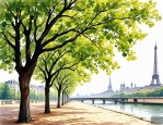 2025年法国梧桐树是什么