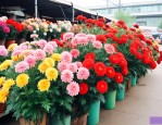 西安卖鲜花市场在哪里