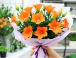 花店桔梗花多少钱一朵