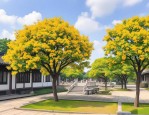 2025年苏州哪里桂花树多