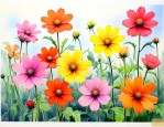 什么花一年四季都能种