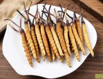 冬虫夏草的作用与作用