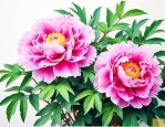 家中养牡丹花风水好吗