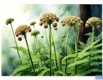 蕨类植物能产生种子吗