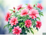 净化空气吸甲醛的花卉