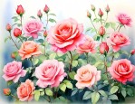 一年四季开花好养的花