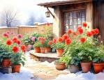 冬天庭院适合种什么花
