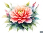 花怎么起名字好听
