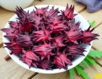 泡过的洛神花可以吃吗