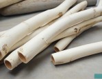 15公分的白蜡多少钱