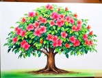 夏季幸福树多久浇一次水