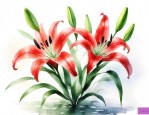 百合几天能开花