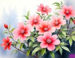 十二月开的花是什么花